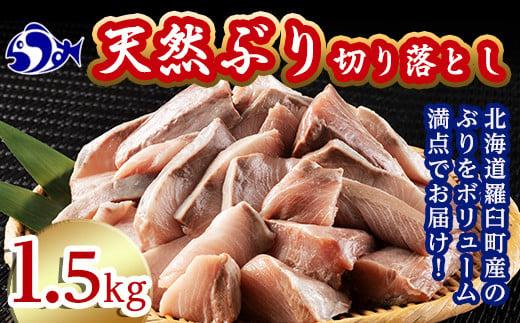 訳あり 北海道知床羅臼産 天然 ぶり 切り落とし（加熱用）1.5kg（500g×3袋）魚 海産物 魚介 魚介類 生産者 支援 応援