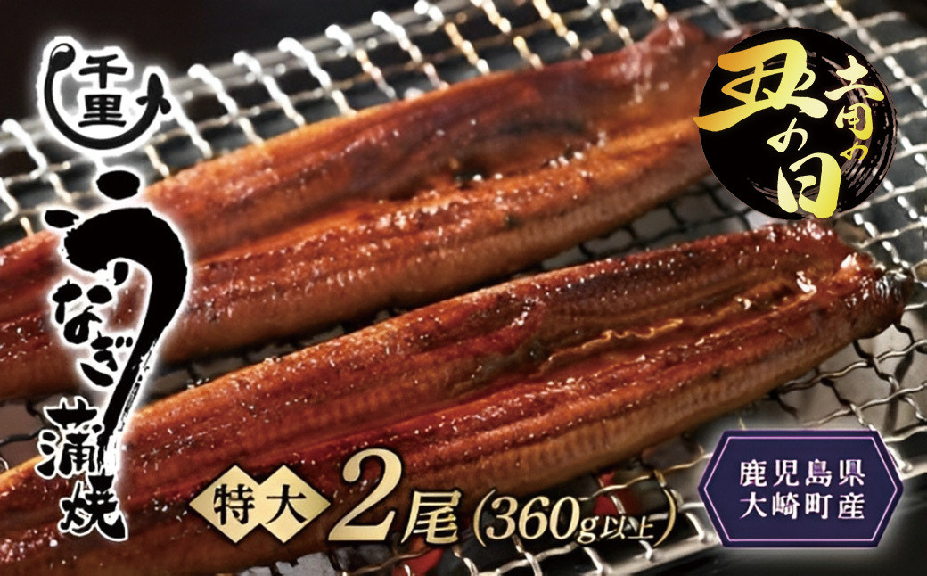 【土用丑の日】鹿児島県産うなぎ　特大蒲焼き2尾　360g以上