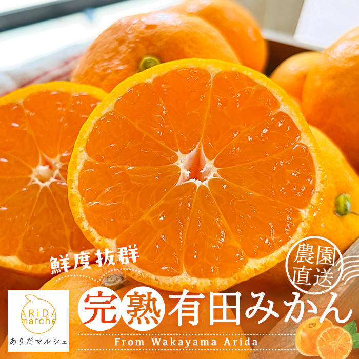 農家直送&nbsp;完熟&nbsp;有田みかん&nbsp;約10kg［先行予約&nbsp;2026年1月発送&nbsp;］［MS13-3］