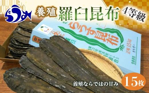 養殖４等羅臼昆布15枚セット(750g~1000g)北海道 知床 羅臼産 生産者 支援 応援