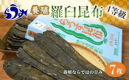 養殖４等羅臼昆布7枚セット(350g~500g)北海道 知床 羅臼産 生産者 支援 応援