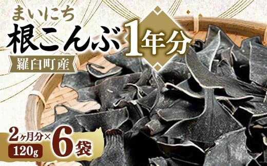 まいにち根こんぶ 1年分 生産者 支援 応援