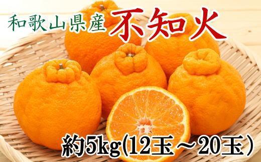 和歌山県産不知火約5kg（12玉～20玉おまかせ）2L～5Lサイズ★2025年2月下旬～3月下旬発送【TM131】