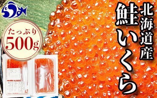 【9月発送】北海道産 いくら（鮭卵）醤油漬け 大容量500g(250g×2パック) 国産 小分けパック イクラ 海鮮丼 ギフト 贈り物 魚介類 魚介 海産物 鮭 シャケ しゃけ 生産者 支援 応援