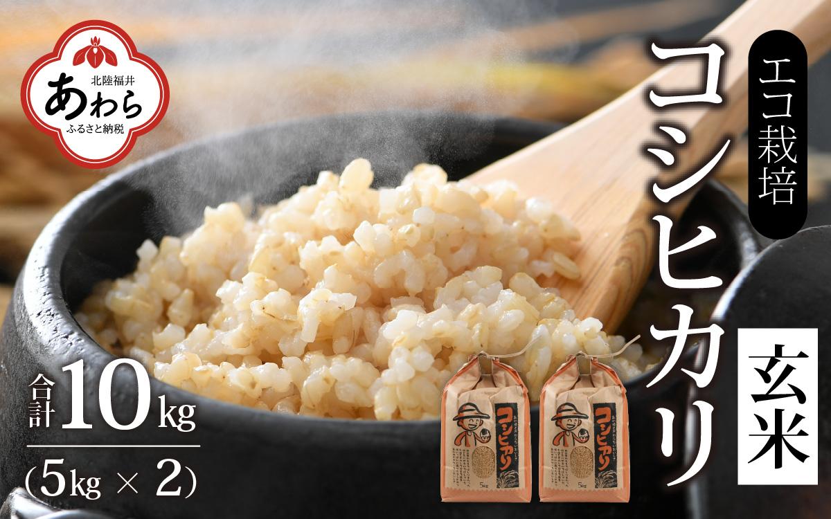 【先行予約】【令和7年産 新米】エコ栽培コシヒカリ 玄米10kg（5kg×2） ／ 鮮度抜群 福井県産 こしひかり ご飯 新鮮 玄米 ※2025年10月上旬より準備出来次第発送