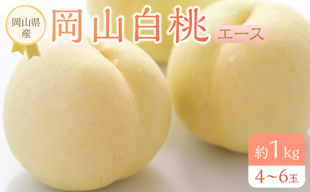 岡山県産 桃 岡山白桃 2025年 先行予約 エース 約1kg（4～6玉）もも モモ フルーツ 果物 ギフト