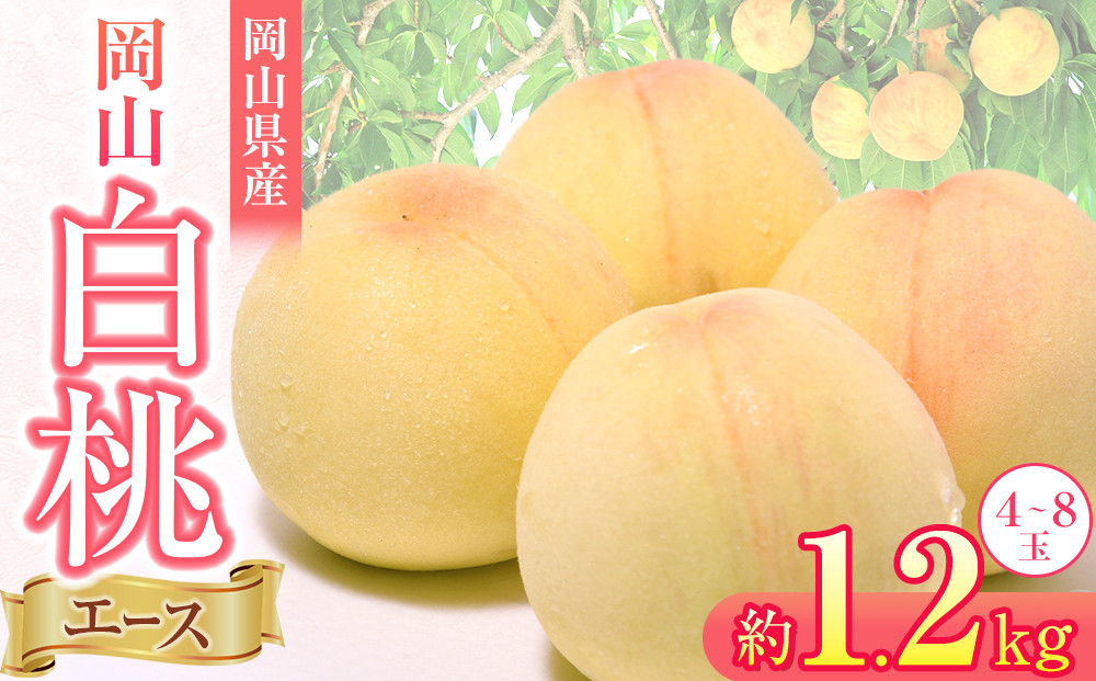 岡山県産&nbsp;桃&nbsp;岡山白桃&nbsp;2026年&nbsp;エース&nbsp;約1.2kg（4～8玉）【白桃&nbsp;桃&nbsp;もも&nbsp;果物&nbsp;フルーツ&nbsp;新鮮&nbsp;岡山県産&nbsp;おすすめ&nbsp;人気&nbsp;ギフト&nbsp;岡山県&nbsp;岡山市】