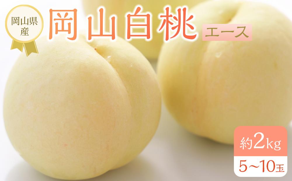 岡山県産 桃 岡山白桃 2025年 先行予約 エース 約2kg（5～10玉）もも モモ フルーツ 果物 ギフト