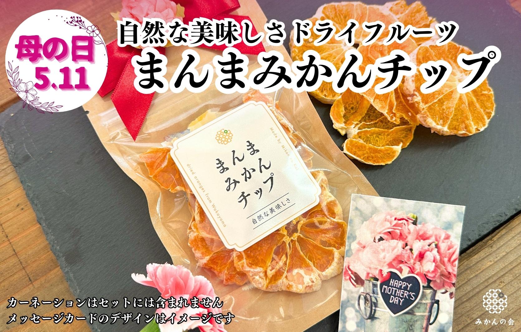 【母の日ギフト】みかん ドライフルーツ まんまみかんチップ 100g ( 20g × 5袋 ) 和歌山県産 果物使用 国内製造 【みかんの会】