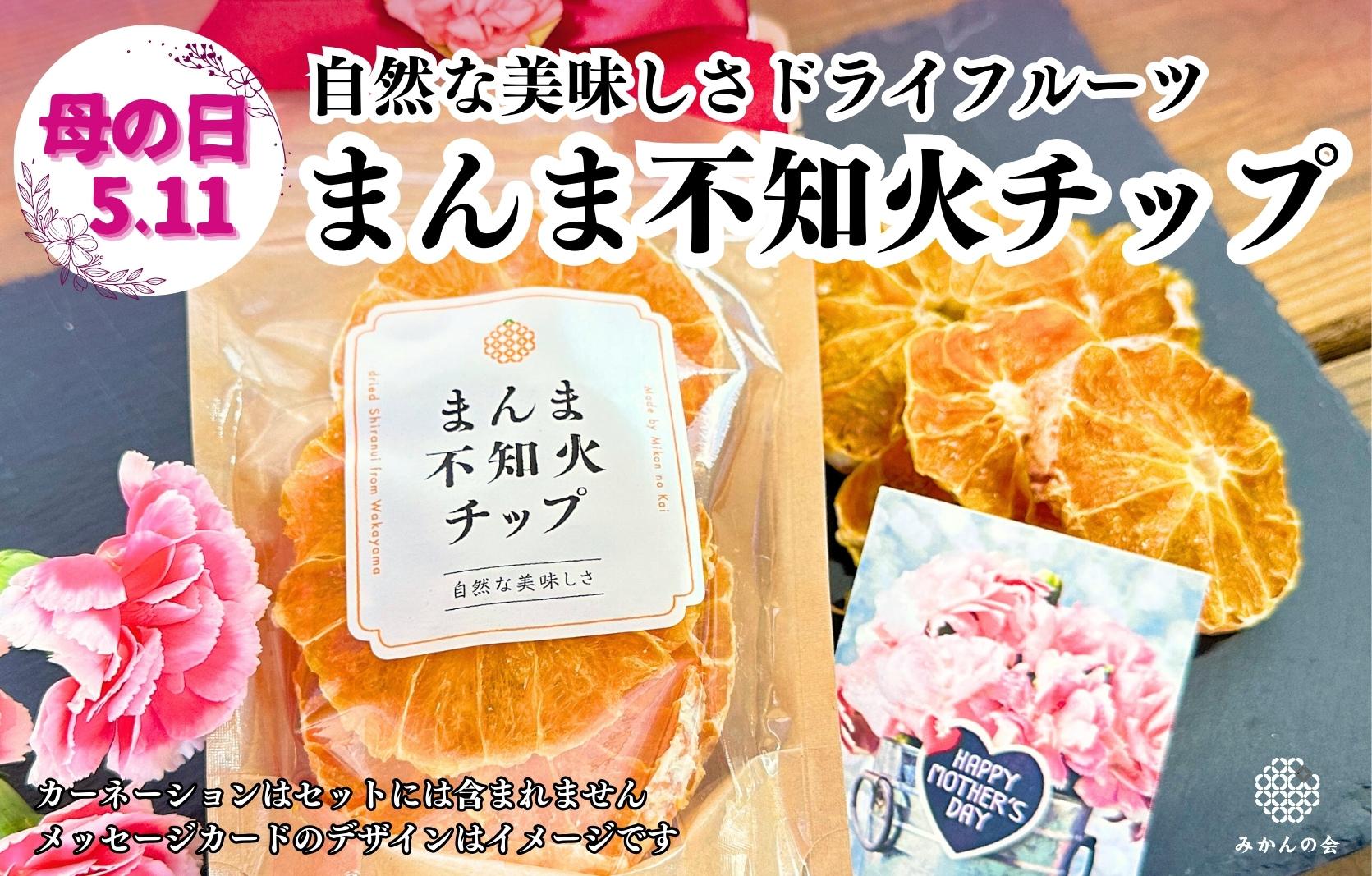 【母の日ギフト】しらぬい ドライフルーツ まんま不知火チップ 100g ( 20g × 5袋 )  和歌山県産 果物使用 国内製造 【みかんの会】