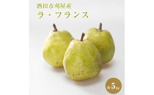 酒田の美味しいラ・フランス(洋梨) 秀品　約5kg(12～18玉入)＜マルト直治郎商店＞