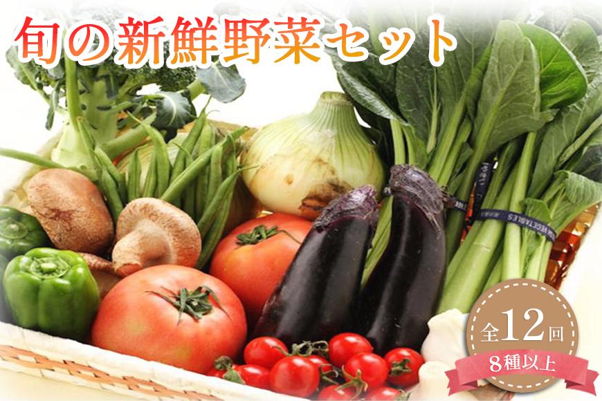 定期便 旬の新鮮野菜詰め合わせ 8種以上 全12回【野菜セット】