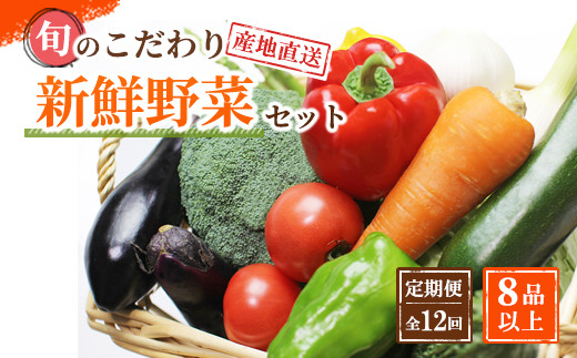 定期便&nbsp;旬の新鮮野菜詰め合わせ&nbsp;8種以上&nbsp;全12回【野菜セット】定期便&nbsp;野菜&nbsp;やさい&nbsp;野菜セット&nbsp;詰め合わせ