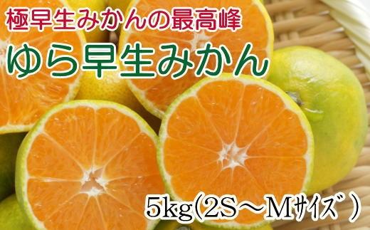 【極早生みかんの逸品】和歌山県産ゆら早生みかん約5kg★2024年10月中旬頃から11月中旬頃順次発送【TM120】