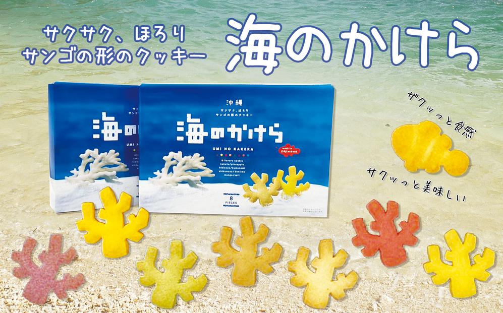 海のかけらクッキー 1箱8個入り2箱セット