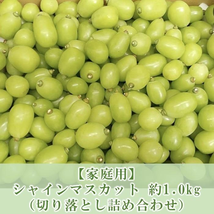 ぶどう マスカット 家庭用 2024年 先行予約 9月以降発送 シャインマスカット 約1.0kg 【 切り落とし 詰め合わせ 】 ブドウ 葡萄  岡山市 国産 フルーツ 果物