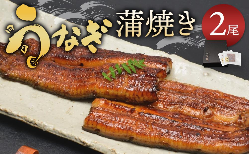 小川菊のうなぎの蒲焼き 2尾分 ／ 鰻 ウナギ 埼玉県