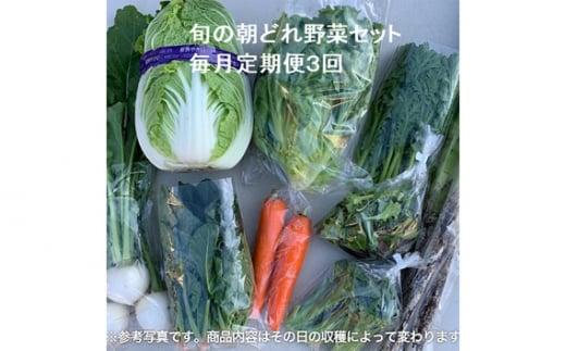 旬の朝どれ野菜セット×3回 ／ やさい 朝採れ 埼玉県