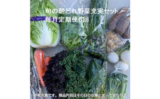旬の朝どれ野菜充実セット×6回 ／ やさい 朝採れ 埼玉県