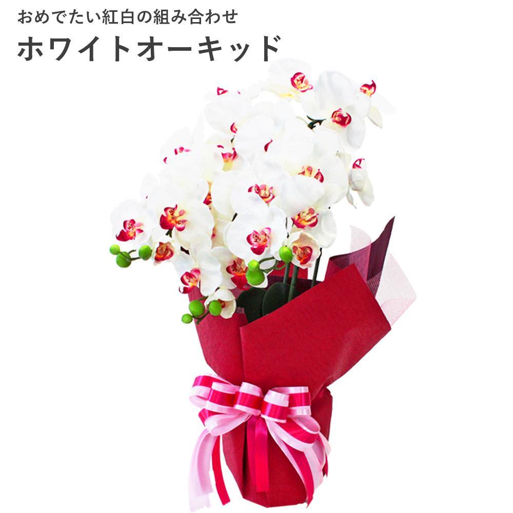 造花&nbsp;シルクフラワーの胡蝶蘭の鉢植&nbsp;3本立&nbsp;CT触媒&nbsp;ホワイトオーキッド&nbsp;／&nbsp;お花&nbsp;コチョウラン&nbsp;埼玉県