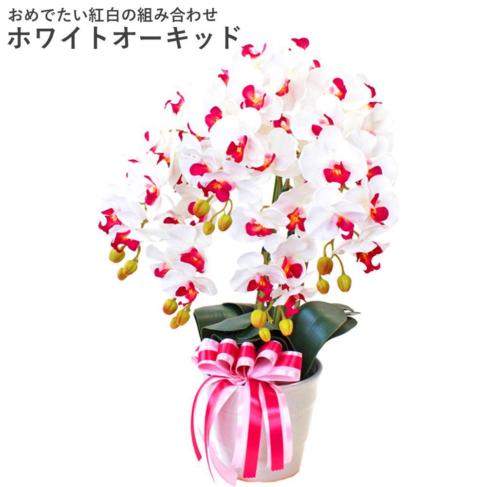造花&nbsp;シルクフラワーの胡蝶蘭の鉢植&nbsp;5本立&nbsp;CT触媒&nbsp;ホワイトオーキッド&nbsp;／&nbsp;お花&nbsp;コチョウラン&nbsp;埼玉県
