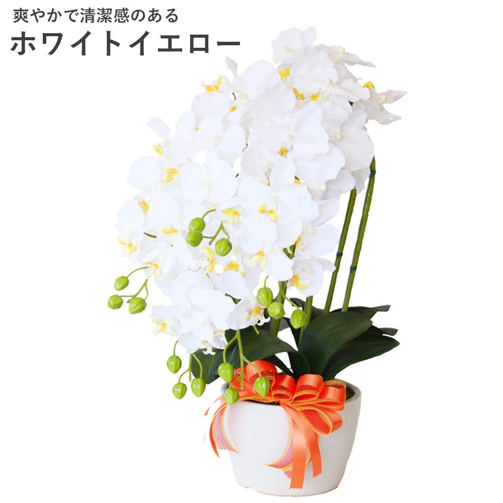 造花&nbsp;シルクフラワーの胡蝶蘭の鉢植&nbsp;5本立&nbsp;CT触媒&nbsp;ホワイトイエロー&nbsp;／&nbsp;お花&nbsp;コチョウラン&nbsp;埼玉県