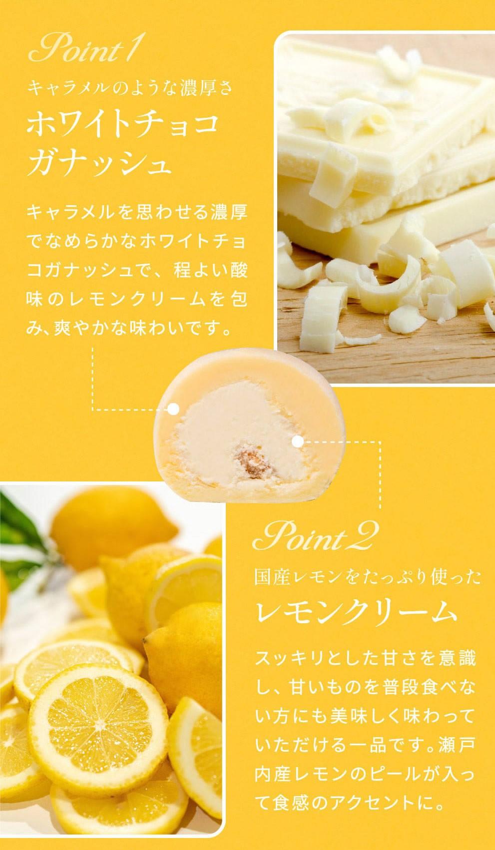 訳あり ショコリッシュ 480g 瀬戸内レモン 約19～21個入り 冷凍 ギフト