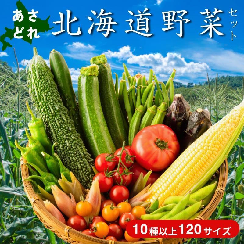 【2回定期便】【野菜ソムリエ厳選】北海道小樽産 旬の活野菜セットL 10種以上 120サイズ