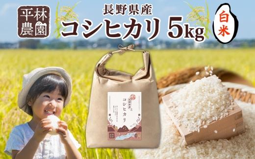 令和6年産 コシヒカリ 白米 5kg×1袋 長野県産 米 精米 お米 ごはん ライス 甘み 農家直送 産直 信州 人気 ギフト お取り寄せ 平林農園 送料無料 長野県 大町市