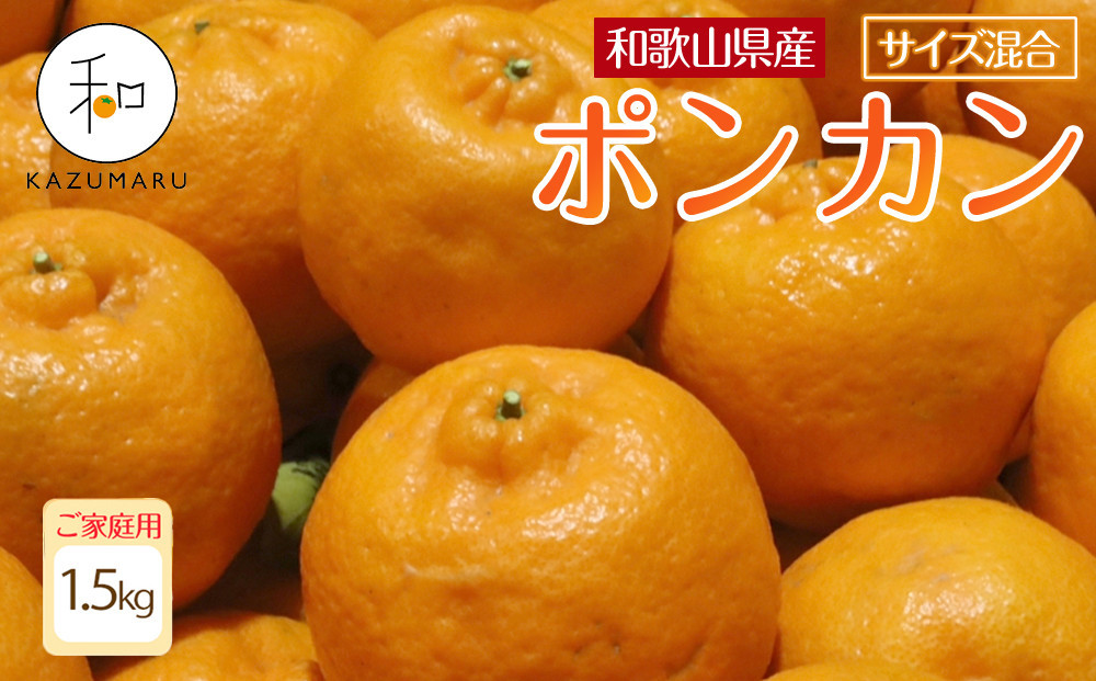 家庭用&nbsp;森本農園の手選別&nbsp;ポンカン&nbsp;1.5kg&nbsp;和歌山県産&nbsp;サイズ混合&nbsp;［北海道・沖縄・離島配送不可］［RN11］［2026年1月上旬から順次発送］★