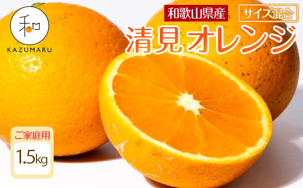家庭用&nbsp;森本農園の手選別&nbsp;清見オレンジ1.5kg&nbsp;和歌山県産&nbsp;サイズ混合&nbsp;［北海道・沖縄・離島配送不可］［RN21］［2026年2月上旬から5月中旬頃順次発送予定］