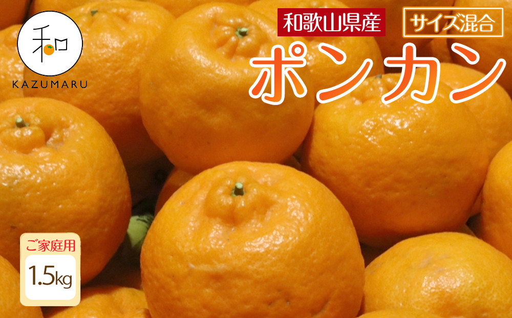 家庭用&nbsp;森本農園の手選別&nbsp;ポンカン&nbsp;1.5kg&nbsp;和歌山県産&nbsp;サイズ混合&nbsp;［北海道・沖縄・離島配送不可］［RN11］［2026年1月上旬から順次発送］