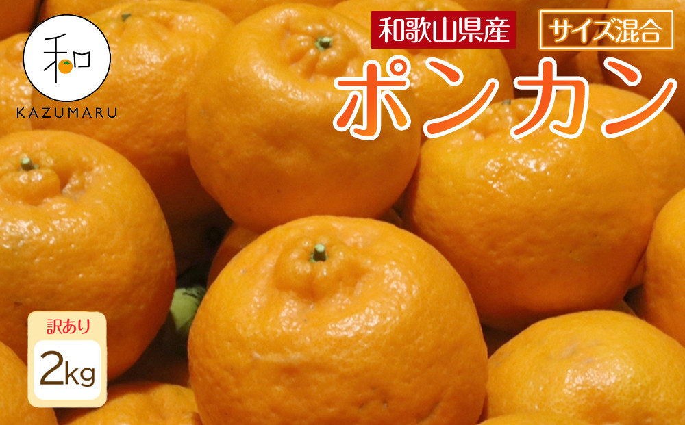 訳あり&nbsp;森本農園の手選別&nbsp;ポンカン2kg&nbsp;和歌山県産&nbsp;サイズ混合&nbsp;［北海道・沖縄・離島配送不可］［RN13］［2026年1月上旬から順次発送］