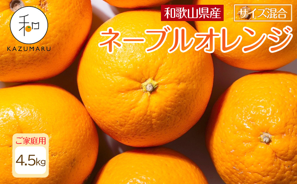 家庭用&nbsp;森本農園の手選別ネーブルオレンジ&nbsp;4.5kg&nbsp;和歌山県産&nbsp;サイズ混合&nbsp;［北海道・沖縄・離島配送不可］［RN17］［2026年1月上旬から順次発送］