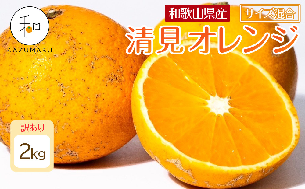 訳あり&nbsp;森本農園の手選別&nbsp;清見オレンジ&nbsp;2kg&nbsp;和歌山県産&nbsp;サイズ混合&nbsp;［北海道・沖縄・離島配送不可］［RN23］［2026年2月上旬から5月中旬頃順次発送予定］