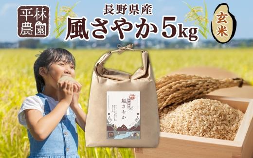 令和6年産 風さやか 玄米 5kg×1袋 長野県産 米 お米 ごはん ライス 低GI 甘み 農家直送 産直 信州 人気 ギフト お取り寄せ 平林農園 送料無料 長野県 大町市