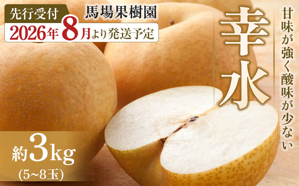 【2026年先行予約／馬場果樹園】梨「幸水」約3kg（5～8玉入）8月中旬～順次発送