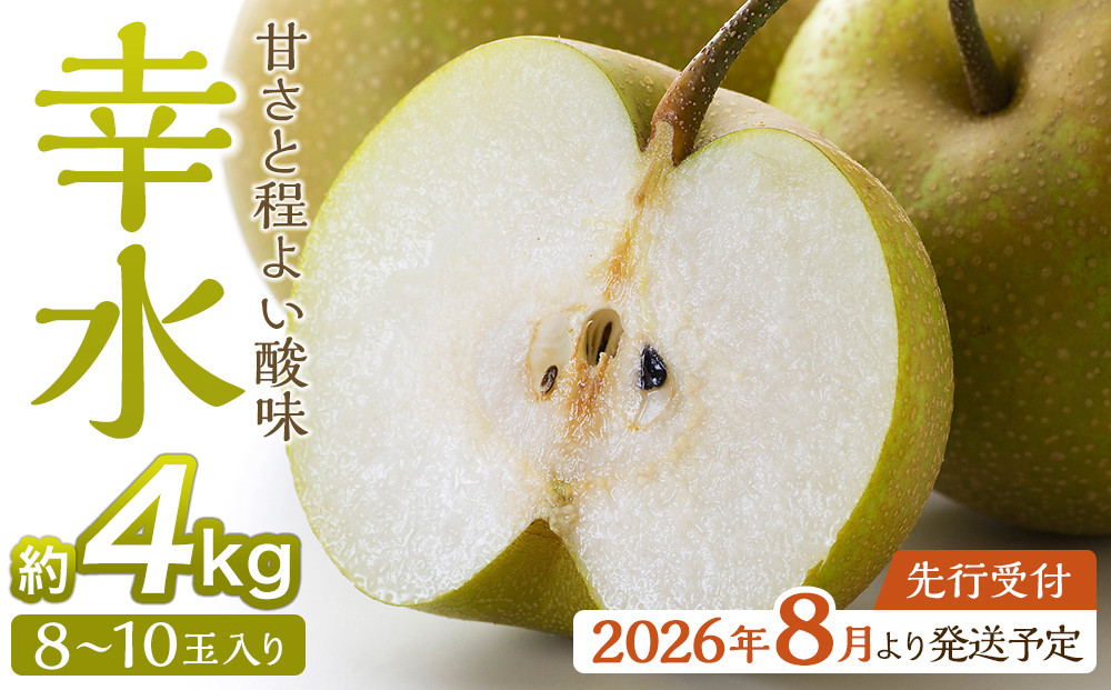 【2026年発送／先行予約】梨「幸水」約4kg（8～10玉入）【松崎果樹園】