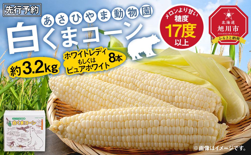 【先行予約】あさひやま動物園しろくまコーン約3.2kg(ホワイトレディもしくはピュアホワイト8本)2025年8月下旬～発送開始予定 【 とうもろこし 人気 北海道 糖度 野菜 白いとうもろこし 白いスイートコーン 産地直送 ホワイトレディ コーン 玉蜀黍 旬 お取り寄せ 旭川市 北海道 送料無料 】　_03811