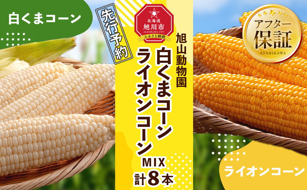 【26年発送先行予約】旭山動物園　白くまコーン4本　ライオンコーン4本　MIX　合計8本（2026年8月中旬から発送開始予定）【&nbsp;とうもろこし&nbsp;人気&nbsp;北海道&nbsp;糖度&nbsp;野菜&nbsp;白いとうもろこし&nbsp;白いスイートコーン&nbsp;産地直送&nbsp;ホワイトレディ&nbsp;ゴールドラッシュ&nbsp;コーン&nbsp;玉蜀黍&nbsp;旬&nbsp;お取り寄せ&nbsp;旭川市&nbsp;北海道&nbsp;】_03815