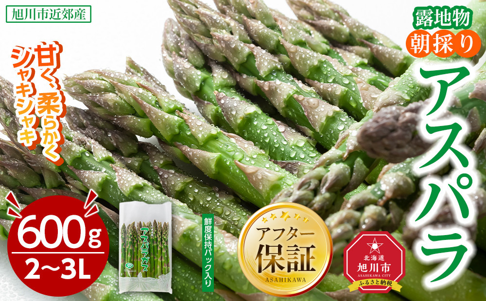 【2026年先行予約】露地物朝採りアスパラ　鮮度保持フィルム入り　2～3L　600g(5月中旬発送開始予定)&nbsp;【&nbsp;アスパラ&nbsp;アスパラガス&nbsp;朝採り&nbsp;とれたて&nbsp;野菜&nbsp;旬&nbsp;小分け&nbsp;保存&nbsp;産直&nbsp;産地直送&nbsp;お取り寄せ&nbsp;旭川市&nbsp;北海道&nbsp;】_03816
