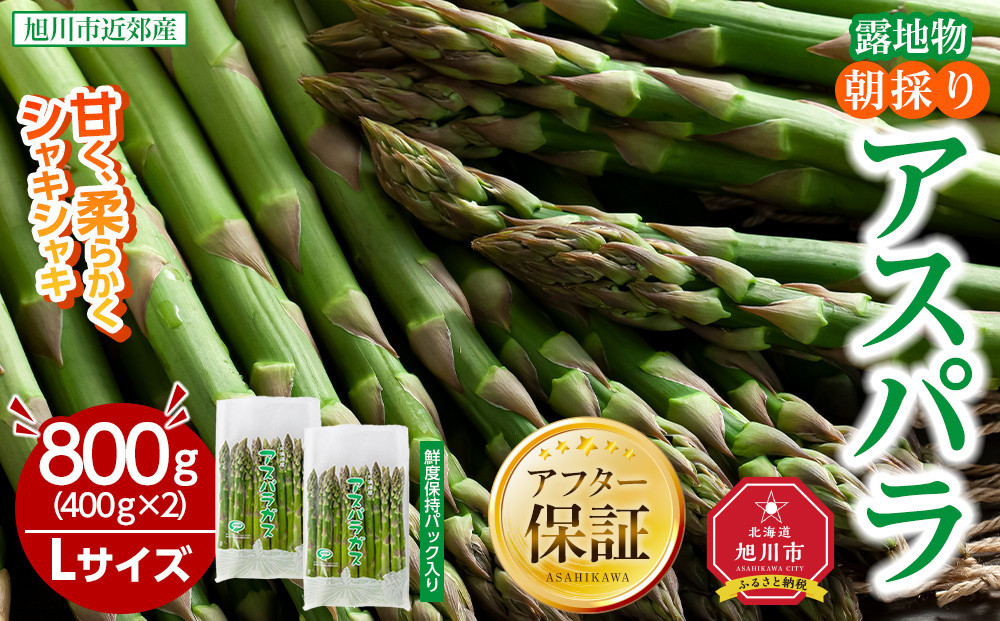 【2026年先行予約】露地物朝採りアスパラ　鮮度保持フィルム入り　Lサイズ　400g×2　合計800g(5月中旬発送開始予定)&nbsp;【&nbsp;アスパラ&nbsp;アスパラガス&nbsp;朝採り&nbsp;とれたて&nbsp;野菜&nbsp;旬&nbsp;小分け&nbsp;保存&nbsp;産直&nbsp;産地直送&nbsp;お取り寄せ&nbsp;旭川市&nbsp;北海道&nbsp;】_03818