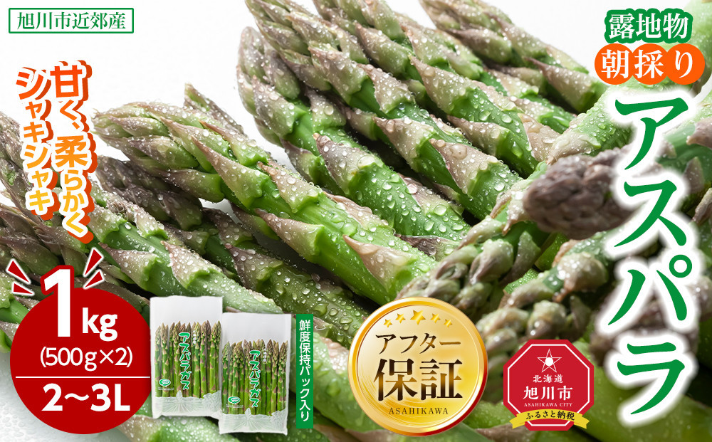 【2026年先行予約】露地物朝採りアスパラ　鮮度保持フィルム入り　2～3L　500g×2　合計1kg(5月中旬発送開始予定)&nbsp;【&nbsp;アスパラ&nbsp;アスパラガス&nbsp;朝採り&nbsp;とれたて&nbsp;野菜&nbsp;旬&nbsp;小分け&nbsp;保存&nbsp;産直&nbsp;産地直送&nbsp;お取り寄せ&nbsp;旭川市&nbsp;北海道&nbsp;】_03817
