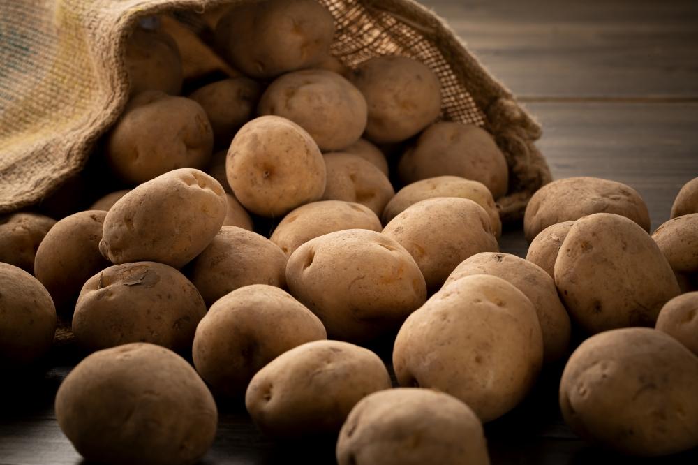 秋とれたて 新じゃが 男爵いも 8kg(2025年10月発送開始予定)北海道産