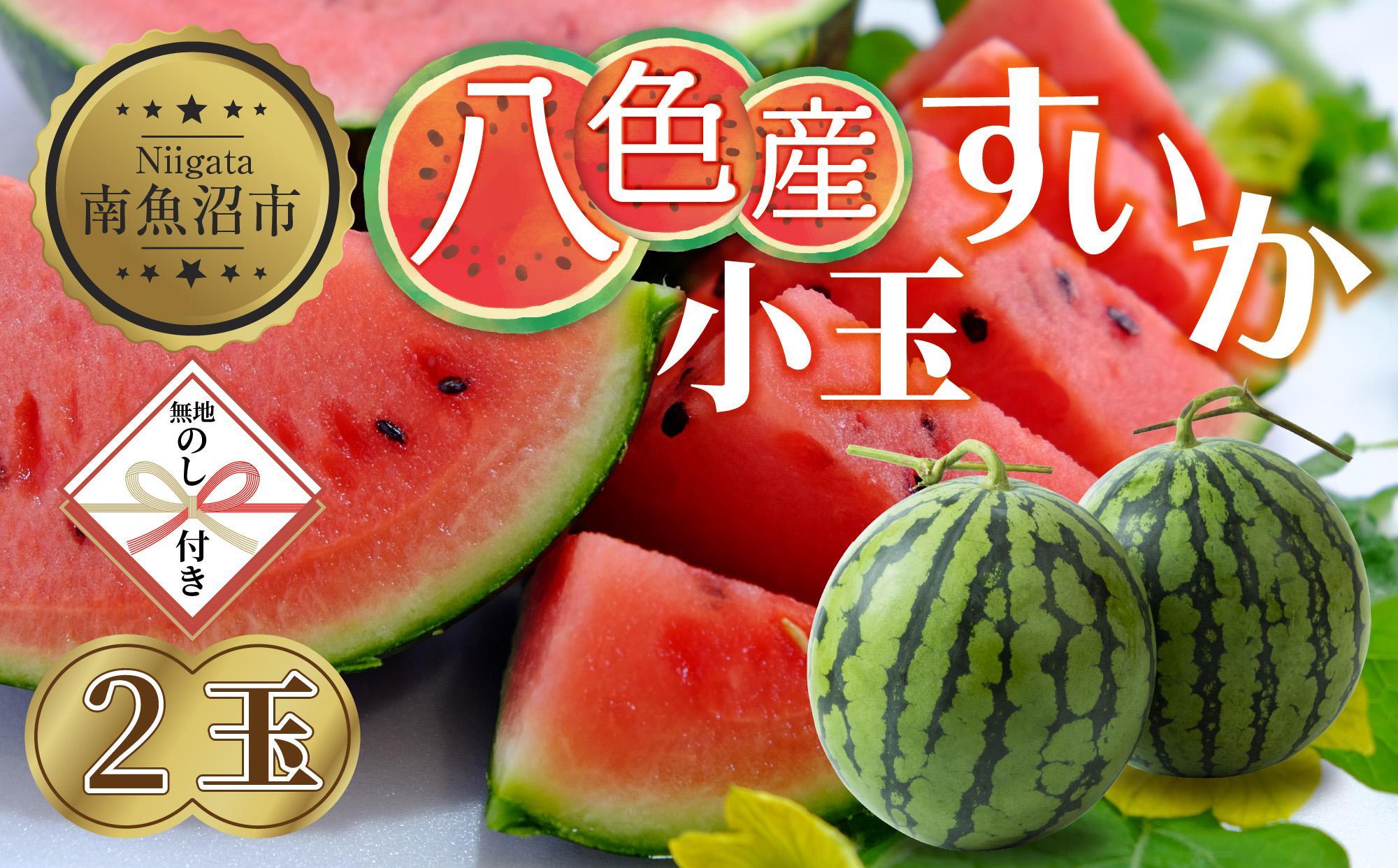 【無地のし】 八色産 小玉 すいか 2玉【7月下旬より順次発送予定】 フルーツ 果物 人気 スイカ お取り寄せ ギフト 期間限定 新潟県 南魚沼市 八色 越季