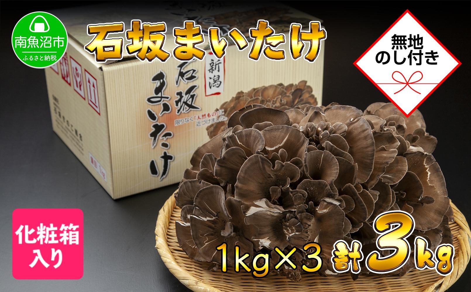 【無地のし】 新潟県 南魚沼産 厳選 国産 石坂 高級 舞茸 まいたけ 産地直送 1kg ×3箱 計3kg 贈り物 ギフト お中元 お歳暮 石坂きのこ