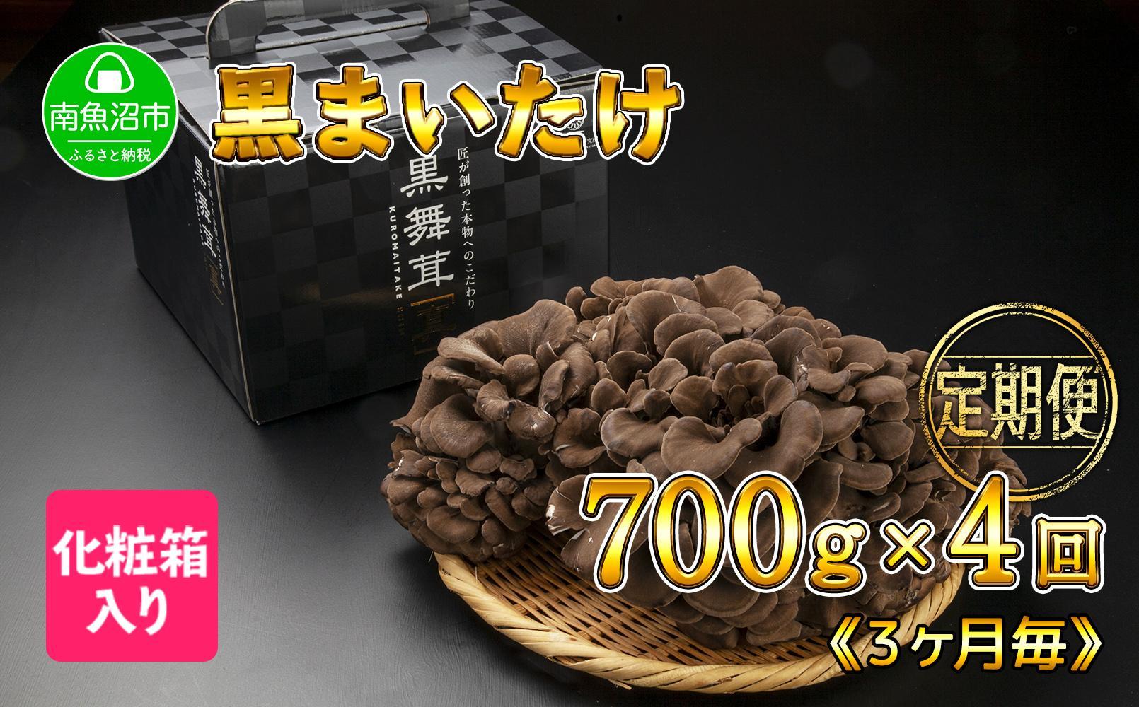 【定期便 全4回】 新潟県 南魚沼産 厳選 国産 黒 高級 舞茸 まいたけ 産地直送 700g 大平きのこ研究所
