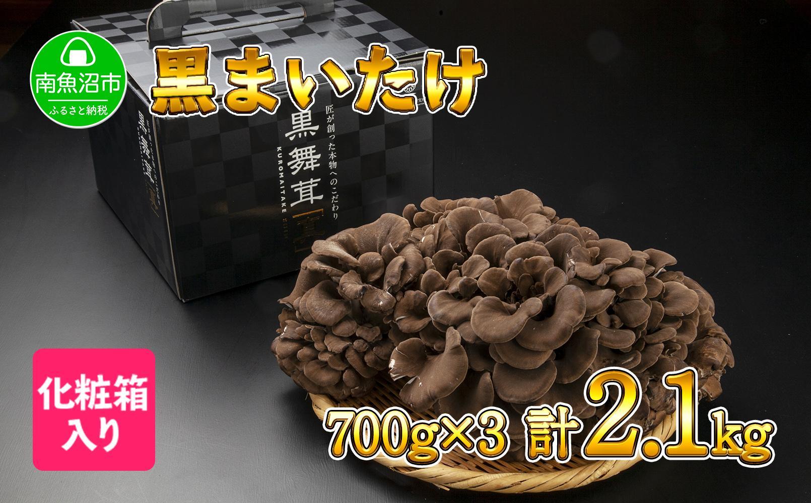 【無地のし】 新潟県 南魚沼産 厳選 国産 黒 高級 舞茸 まいたけ 産地直送 700g ×3箱 計2.1kg 贈り物 ギフト お中元 お歳暮 大平きのこ研究所