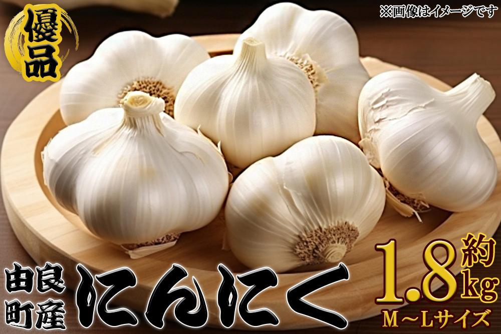 由良町産にんにく 優品 約1.8kg(900g×2／M～Lサイズ)【SL18】