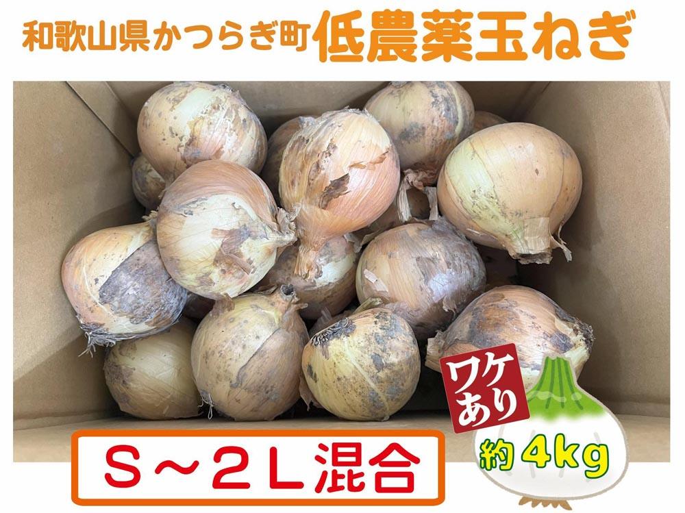 【訳あり】低農薬玉ねぎご家庭用Ｓ～２Ｌ混合 約4kg【5月中旬～７月中旬発送予定】